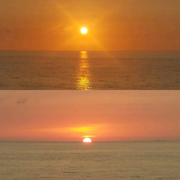 Meet your Posher, Marcy - Picture 1 of 1